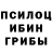 Псилоцибиновые грибы Cubensis Alina Smutova
