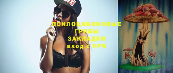 СК Липки