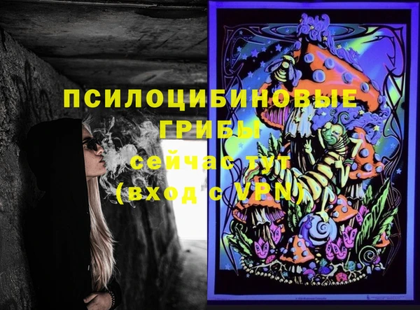 СК Липки