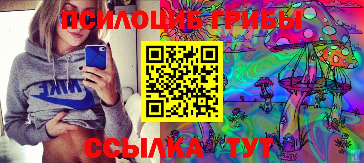 Галлюциногенные грибы мухоморы  Галлюциногенные грибы Psilocybe  Копейск 